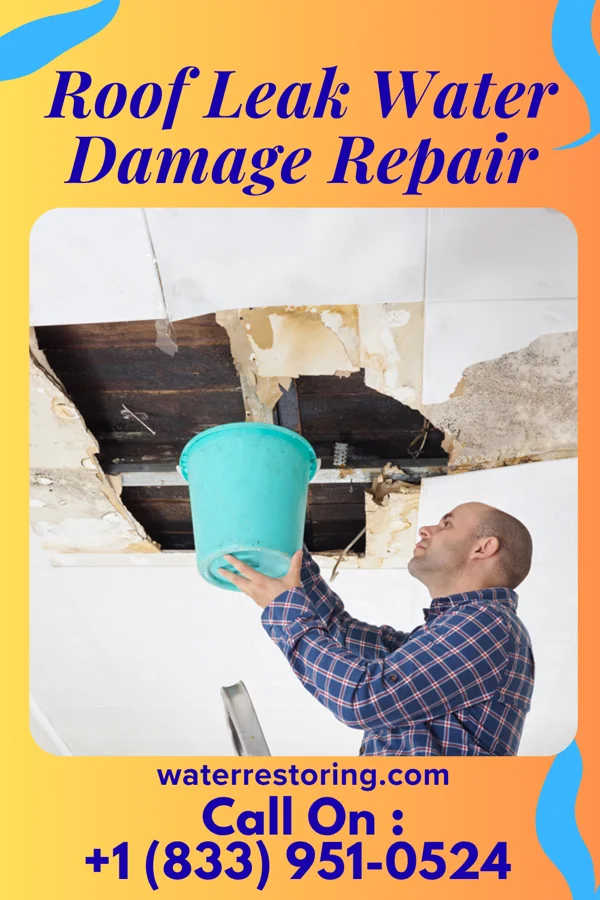 Roof Leak Water Damage Repair in Ripley, OK