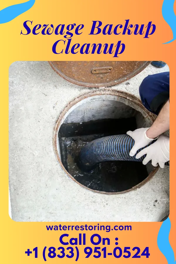 Sewage Backup Cleanup in Ripley, OK